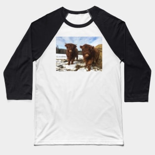 Scottish Highland Cattle Calves 1944 Baseball T-Shirt